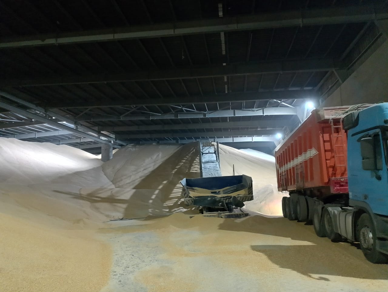 تفريغ وتخزين ذرة صب - StarTrans Logistics