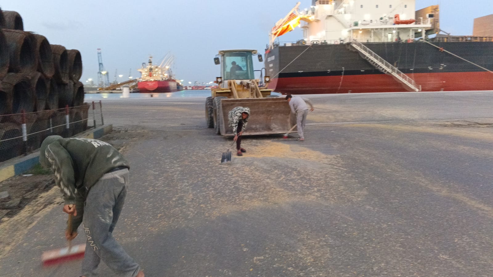 تفريغ وتخزين ذرة صب - StarTrans Logistics