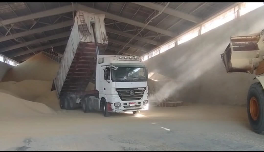 تفريغ وتخزين كسب الصويا - StarTrans Logistics