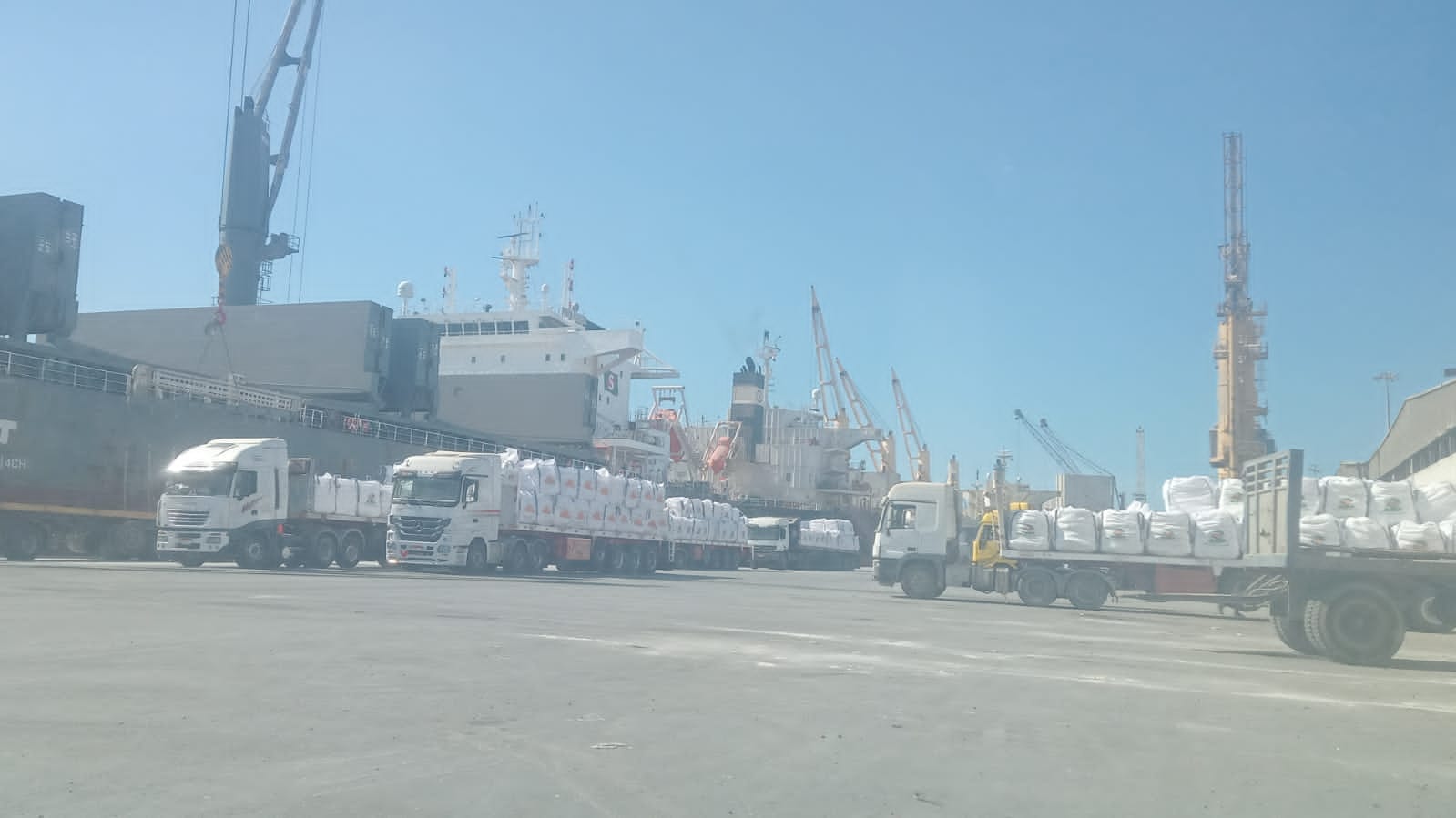تعبئة وتخزين وشحن جبس معبأ - StarTrans Logistics