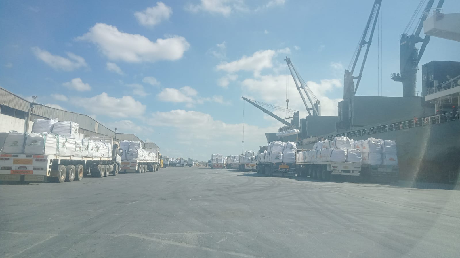 تعبئة وتخزين وشحن جبس معبأ - StarTrans Logistics