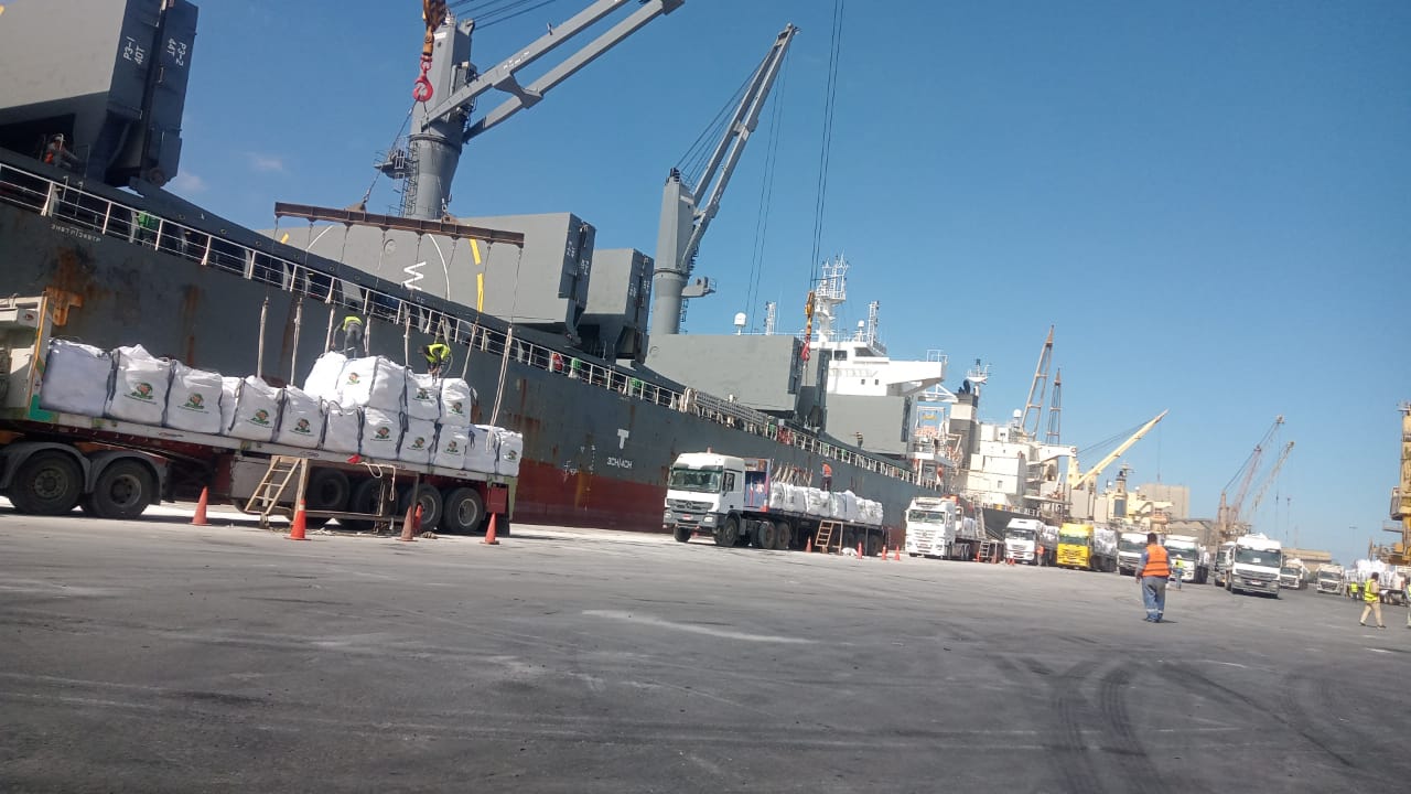 تعبئة وتخزين وشحن جبس معبأ - StarTrans Logistics